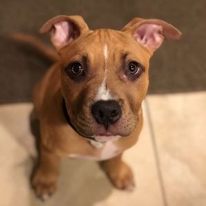 Meet your Posher, Jay